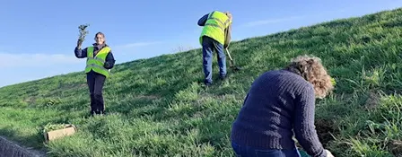 Little Cheyne Wind Farm Habitat Work