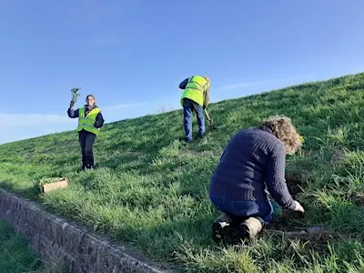 Little Cheyne Wind Farm Habitat Work