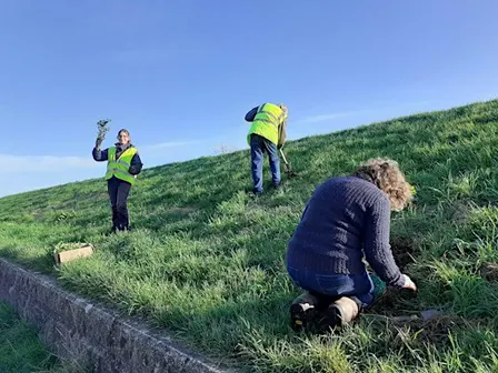 Little Cheyne Wind Farm Habitat Work