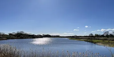 Autumnal Mindfulness Walk