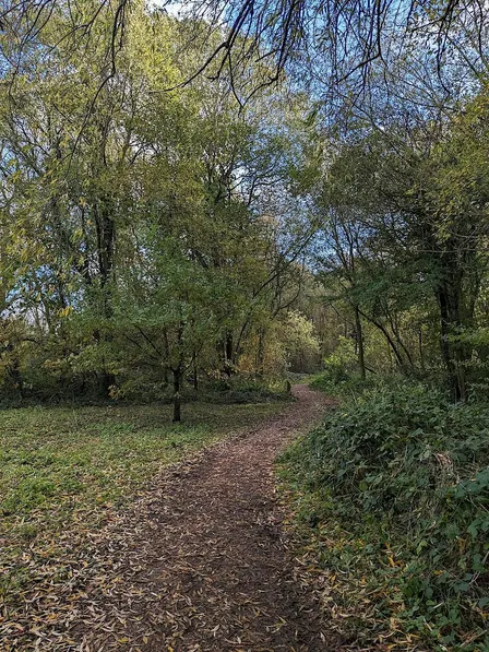 New Years Mindfulness Walk