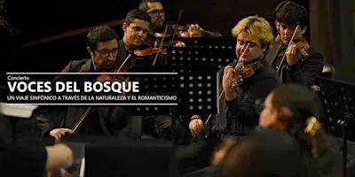 Concierto Voces del Bosque de la Orquesta Sinfónica UNIACC
