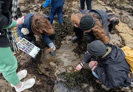 Rockpool Rangers with Falmouth Marine Conservation Society