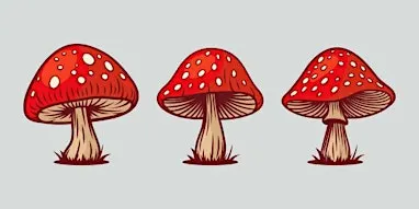 Mushroom Stained Glass Class