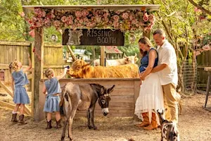 Farm Photo Sessions for Fall & Christmas