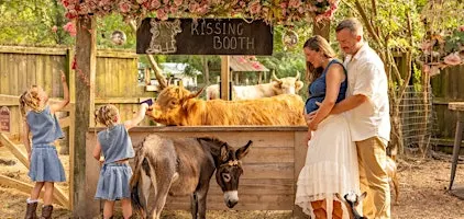 Farm Photo Sessions for Fall & Christmas