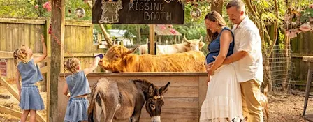 Farm Photo Sessions for Fall & Christmas