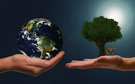 Green Talks Workshop for Sustainable Hospitality & Eco Festivals -In Person