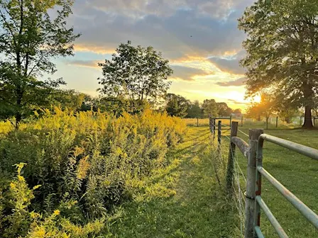 Rebuilding Ecosystems with Regenerative Agriculture