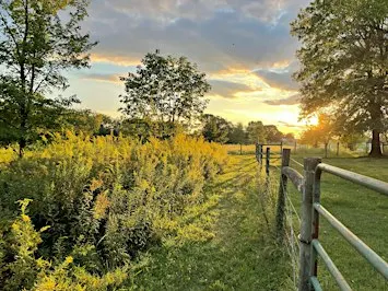 Rebuilding Ecosystems with Regenerative Agriculture
