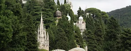 PERCORSO 5 - Dormono sulla collina: il boschetto irregolare