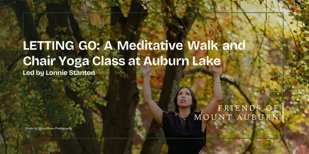 LETTING GO: A Meditative Walk and Chair Yoga Class at Auburn Lake