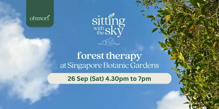 Forest Therapy & Bathing: Sitting with the Sky (Saturday 26 September)