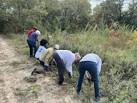 Fall Volunteer Invasive Removal Event with Lunch and Tour