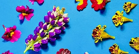 CREATIVE WELLBEING CLINIC FOR ADULTS