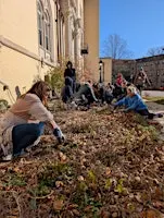 Volunteer Bulb Planting Event