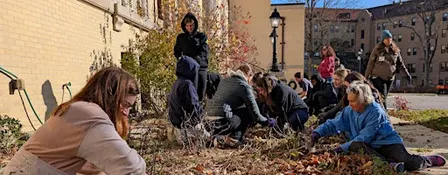 Volunteer Bulb Planting Event