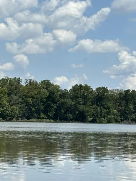 Visionary Day at the Lake