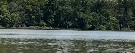 Visionary Day at the Lake