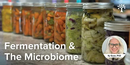 Fermentation & The Microbiome: A Hands-On Workshop