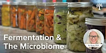 Fermentation & The Microbiome: A Hands-On Workshop