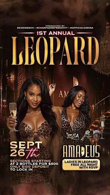 LEOPARD AFTER DARK