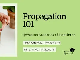 Propagation 101