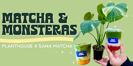 Matcha & Monsteras
