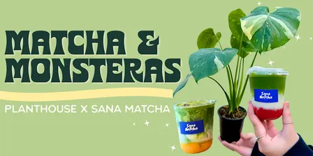 Matcha & Monsteras