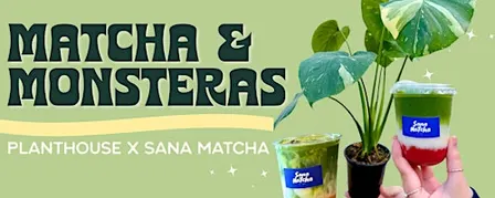Matcha & Monsteras