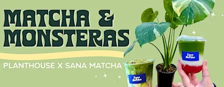 Matcha & Monsteras