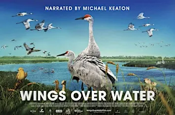 Wings Over Water at The Capa Space