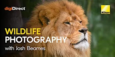 Wildlife Photography at Melbourne Zoo with Josh Beames