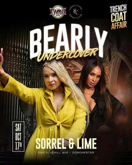 Bearly Undercover: A Trench Coat Affair