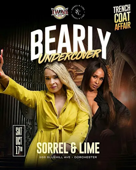 Bearly Undercover: A Trench Coat Affair