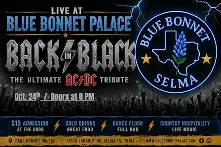 Back in Black (AC/DC Tribute Band)
