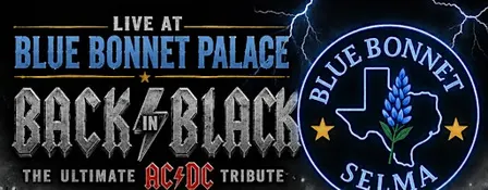 Back in Black (AC/DC Tribute Band)