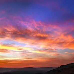 Color My World: A Rainbow of Musical Colors