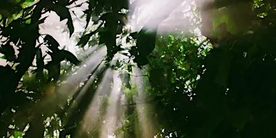Light Beyond Shadow:  A Musical Journey