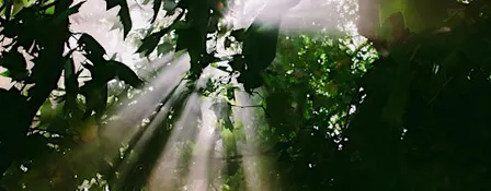 Light Beyond Shadow: A Musical Journey