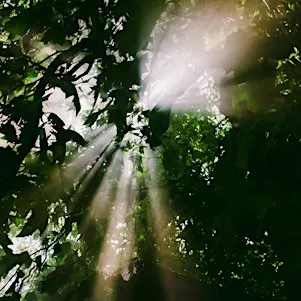 Light Beyond Shadow: A Musical Journey
