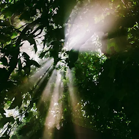 Light Beyond Shadow: A Musical Journey