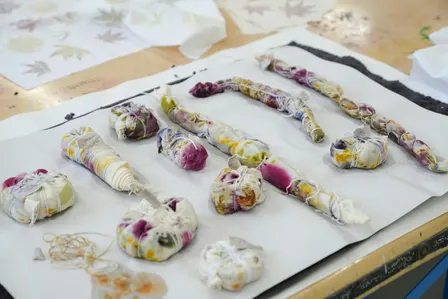 A beginners guide to plant-based dyeing