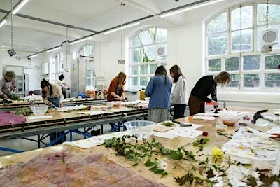 A beginners guide to plant-based dyeing