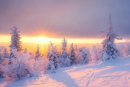 Music for Advent and Christmas