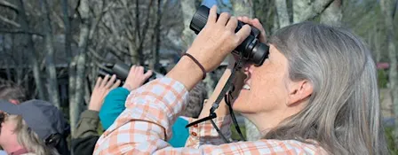 Birding for Beginners