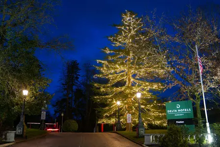 Christmas Tree Light Switch-On & Christmas Market