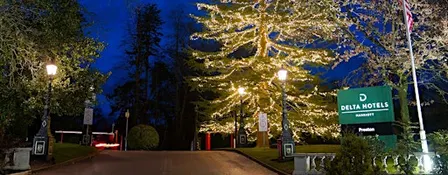 Christmas Tree Light Switch-On & Christmas Market