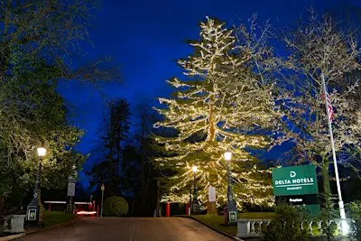 Christmas Tree Light Switch-On & Christmas Market