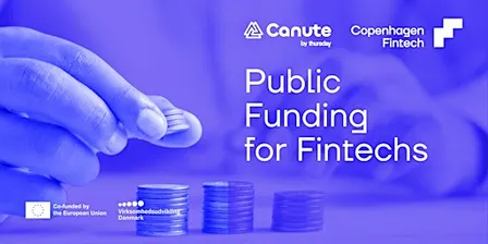 Public Funding for Fintechs